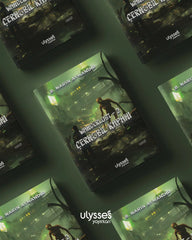 Wanderlust - 2 Çernobil Kapanı